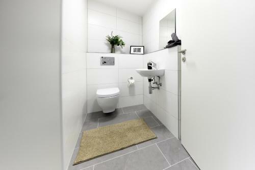 Apartamento Wohnung 14 - Ohne Auto In Den Europa-park