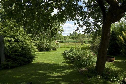 Ferienhaus Am Schilfg�rtel
