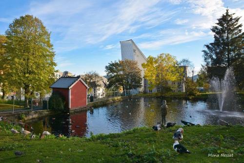 Kristiansund Apartments