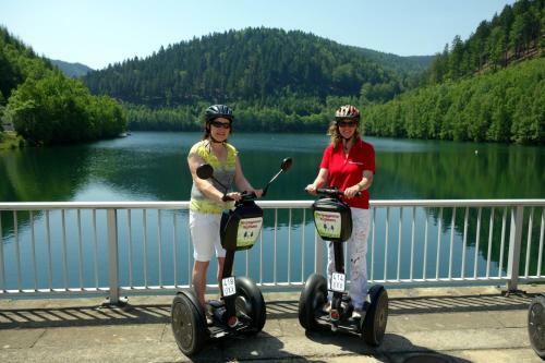 Apartamentos 4 Sterne Ferienwohnung Sorbitztal