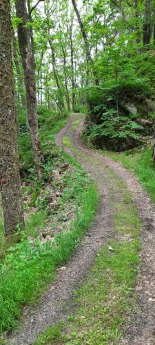 Hytte Ved Sj�en