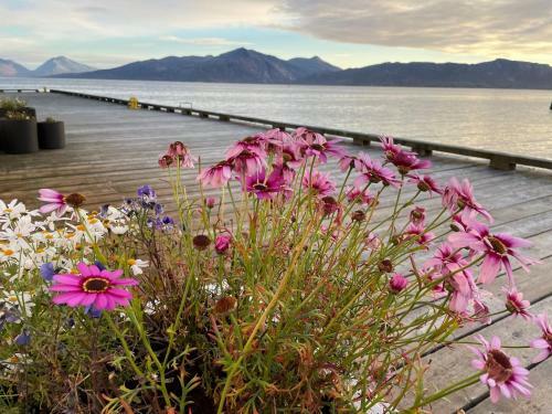 Apartamento 2. Etg I Dampskipsbrygga, L�dingen Havn