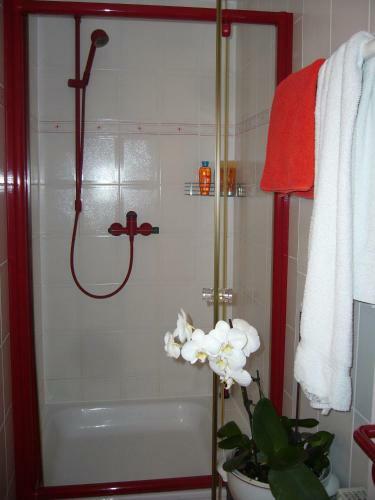 Apartamento Ferienidyll Aum�hle, "bebenburg"