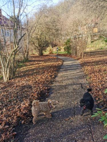 Hostal Berghaus Figueiras Zum Teufelsberg 7