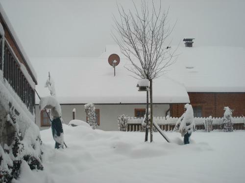 Apartamento Ferienwohnung Da Rugna