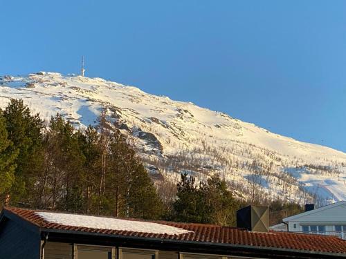 Ponderosa - Ekornveien 31