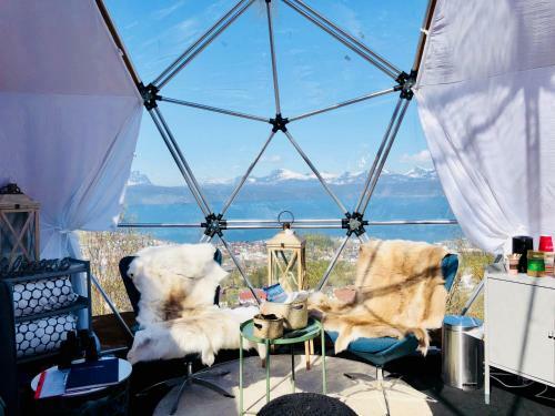 Narvik Adventures As