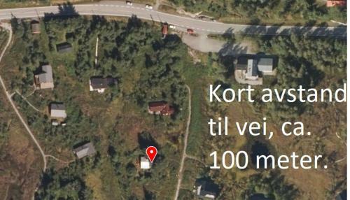 Tangen 15