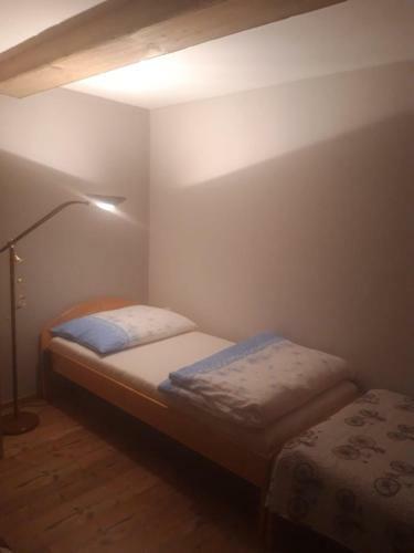 Apartment Magdalena With Garden And Free Bicycles