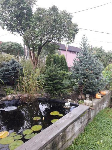 Apartment Magdalena With Garden And Free Bicycles