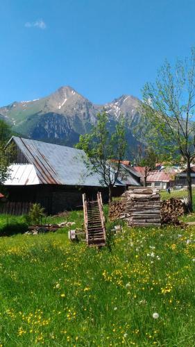 Lodge Chal�pka V ?diari