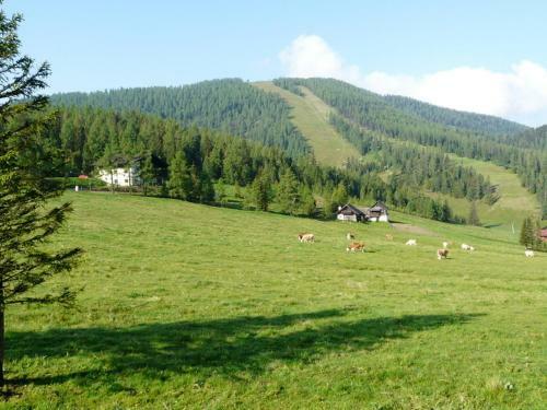 Hostal Gasthof Alpl