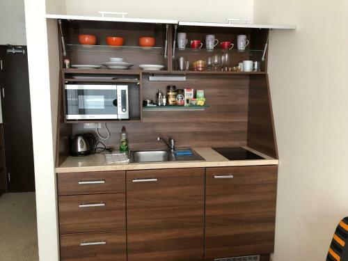Apartment In High Tatras (4**** Panorama Hotel)