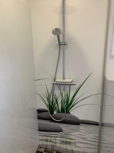 Modernes Haus Auf Gro�em Grundst�ck Im Gr�nen