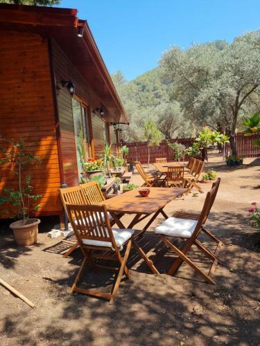 Bed & Breakfast Ekincik Art Camp