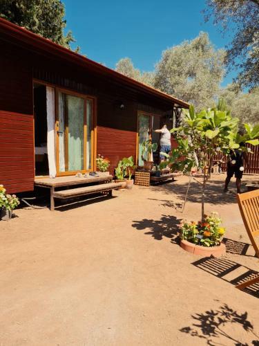Bed & Breakfast Ekincik Art Camp