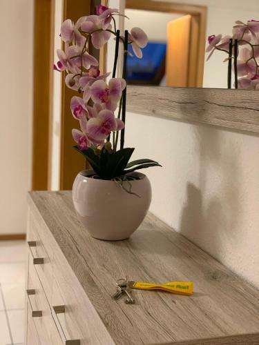 Apartamento Casa Catalina