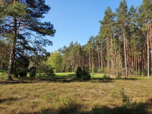 Traumhaftes Reetdachhaus Grote Eken In Der L�neburger Heide