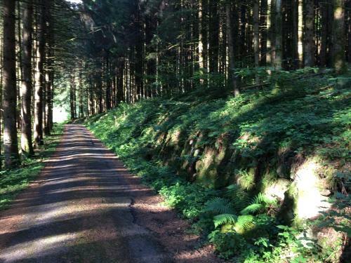 Bed & Breakfast G�stehaus Adler Albtal