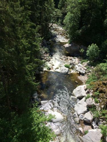 Bed & Breakfast G�stehaus Adler Albtal