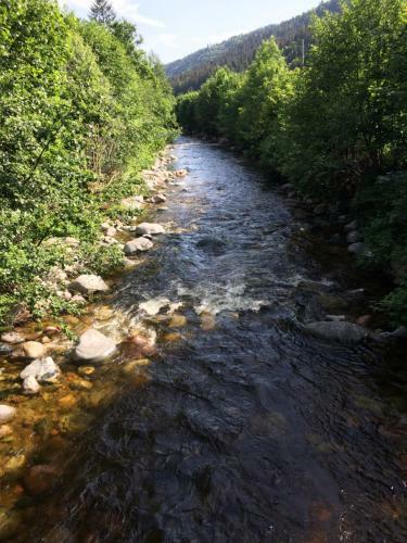 Bed & Breakfast G�stehaus Adler Albtal