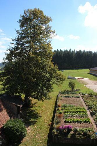 Apartamento Ferienbauernhof-holops