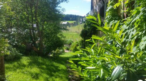 Apartamento Tarahaus