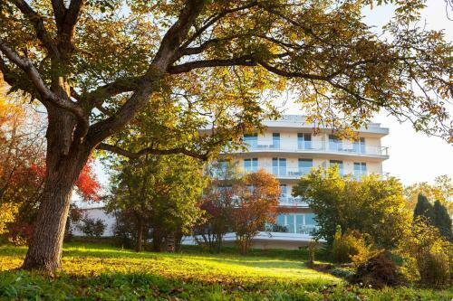 Schwitzer's Hotel Am Park