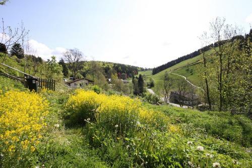 Harzhuisje - Sankt Andreasberg