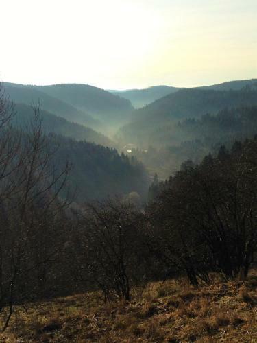 Harzhuisje - Sankt Andreasberg