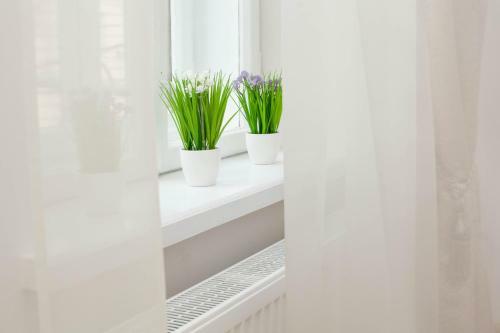 Luxury Lviv Apartment