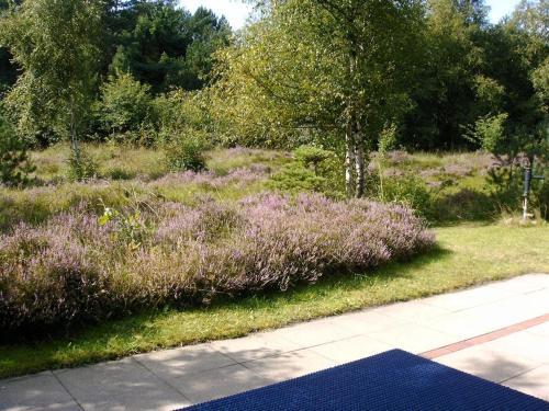 Apartamento Haus Carstens ~ Gorch-fock-weg 36