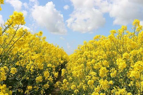 Apartamento Ferienhaus Brauer, Westmarken