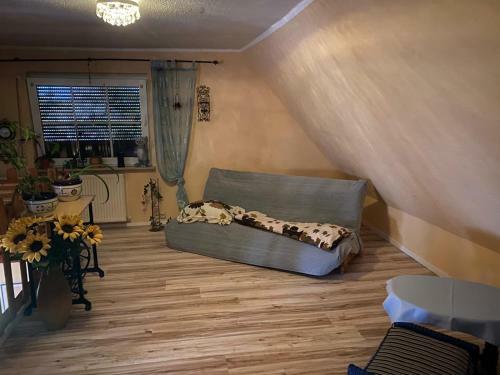 Ferienhaus Hospodarz