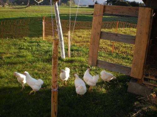 Agroturismo Waldsch�nau