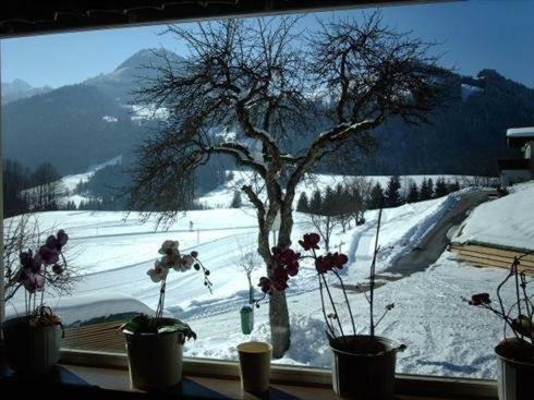 Hostal Gasthof Mairwirt