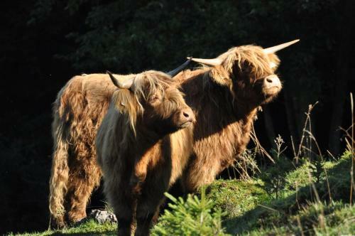 Agroturismo Ferienhof Unterhochst�tt