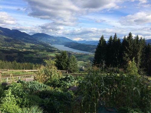 Hostal Gasthof Pension Perauer