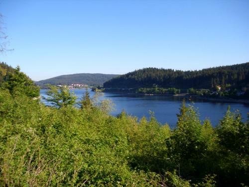 Apartamento Ferienwohnung Naturpark Schluchsee