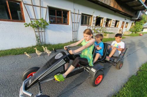 Apartamento Biobauernhof Mittermoos