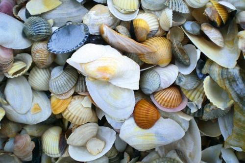 Apartments Home Miramar, Scharbeutz