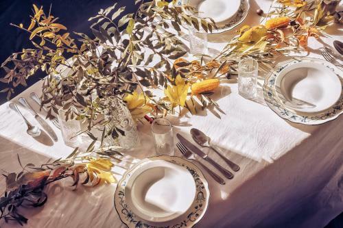 Hostal Monkey Fingers By Fatima Mellal
