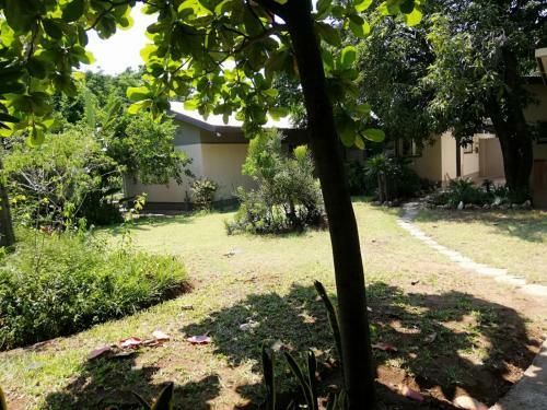 Hostal Elephant Walk Guesthouse And Back Packers