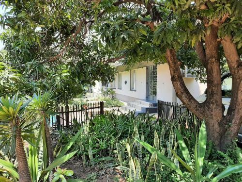 Hostal Elephant Walk Guesthouse And Back Packers