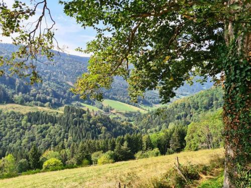 Apartamento Ferienwohnungen Schanzenblick