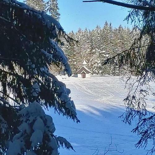Apartamento Ferienwohnungen Schanzenblick