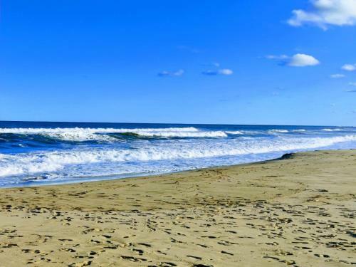 44 Montego Bay Caribbean Estates