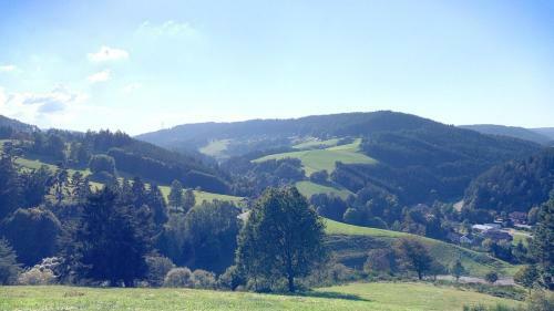 Apartamento Daheim Im Hirschen