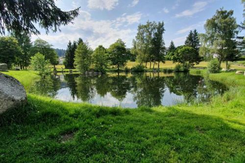 Apartamento Black Forest Kuckucksnest Sch�nwald Im Schwarzwald