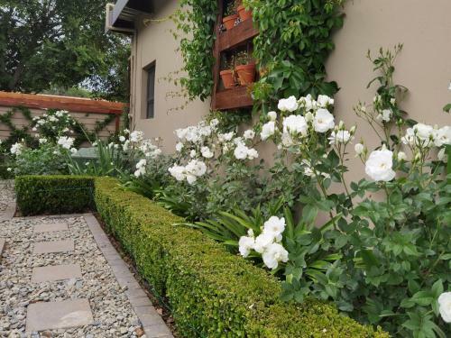 Bed & Breakfast Bella Rosa